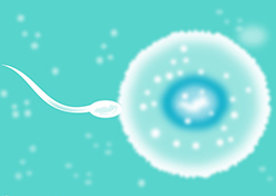 湖南血缘检测医院地址和电话，湖南医院DNA亲子鉴定的流程