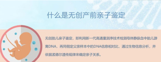 刚怀孕湖南如何做孕期亲子鉴定,湖南办理产前亲子鉴定结果准确吗