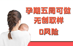 湖南怀孕37天要如何办理亲子鉴定，湖南孕期亲子鉴定大概价格